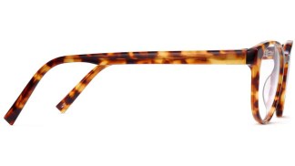 Side View Image of Whalen Eyeglasses Collection, by Warby Parker Brand, in Striped Acorn Tortoise Color