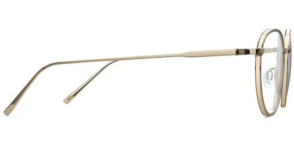Side View Image of Darin Eyeglasses Collection, by Warby Parker Brand, in Polished Gold Color