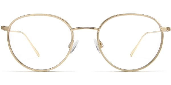 Front View Image of Darin Eyeglasses Collection, by Warby Parker Brand, in Polished Gold Color