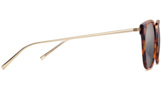 Side View Image of Tilden Sunglasses Collection, by Warby Parker Brand, in Acorn Tortoise with Polished Gold Color