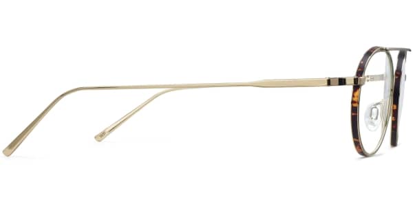 Side View Image of Corwin Eyeglasses Collection, by Warby Parker Brand, in Polished Gold with Whiskey Tortoise Matte Color