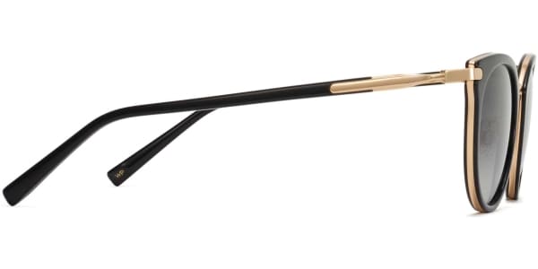 Side View Image of Whittier Sunglasses Collection, by Warby Parker Brand, in Jet Black with Gold Color