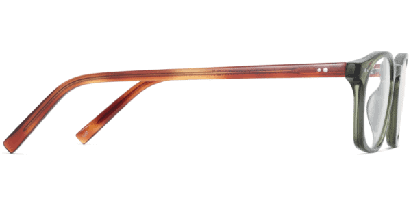 Side View Image of Dalton Eyeglasses Collection, by Warby Parker Brand, in Seaweed Crystal with Amber Tortoise Color
