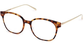 Angle View Image of Tilden Eyeglasses Collection, by Warby Parker Brand, in Acorn Tortoise with Polished Gold Color