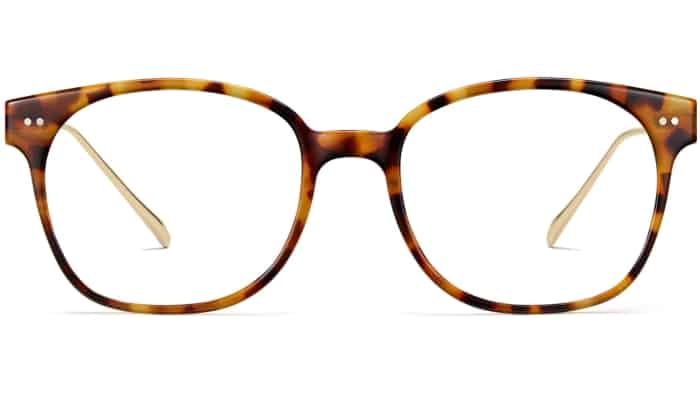 Front View Image of Tilden Eyeglasses Collection, by Warby Parker Brand, in Acorn Tortoise with Polished Gold Color