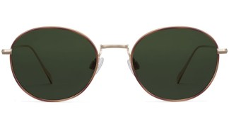 Front View Image of Colvin Sunglasses Collection, by Warby Parker Brand, in Polished Gold with Savanna Tortoise Color