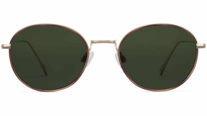 Front View Image of Colvin Sunglasses Collection, by Warby Parker Brand, in Polished Gold with Savanna Tortoise Color