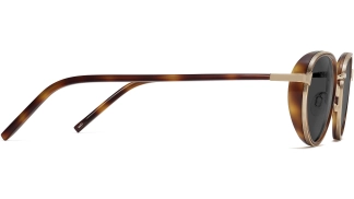 Side View Image of Nestor Sunglasses Collection, by Warby Parker Brand, in Oak Barrel with Riesling Color